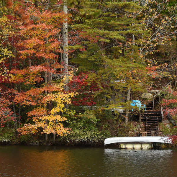 fall foliage over a lake