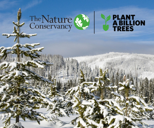 The Nature Conservancy
