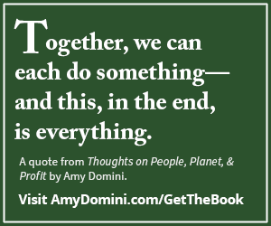 Amy Domini Amy Domini