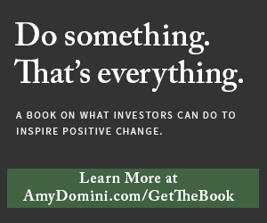 Amy Domini Amy Domini