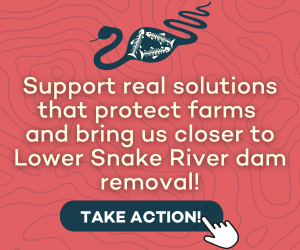 Support real solutions that protect farms and bring us closer to Lower Snake River dam removal!