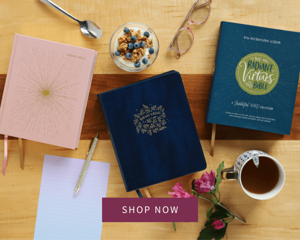 NIV Radiant Virtues Bible