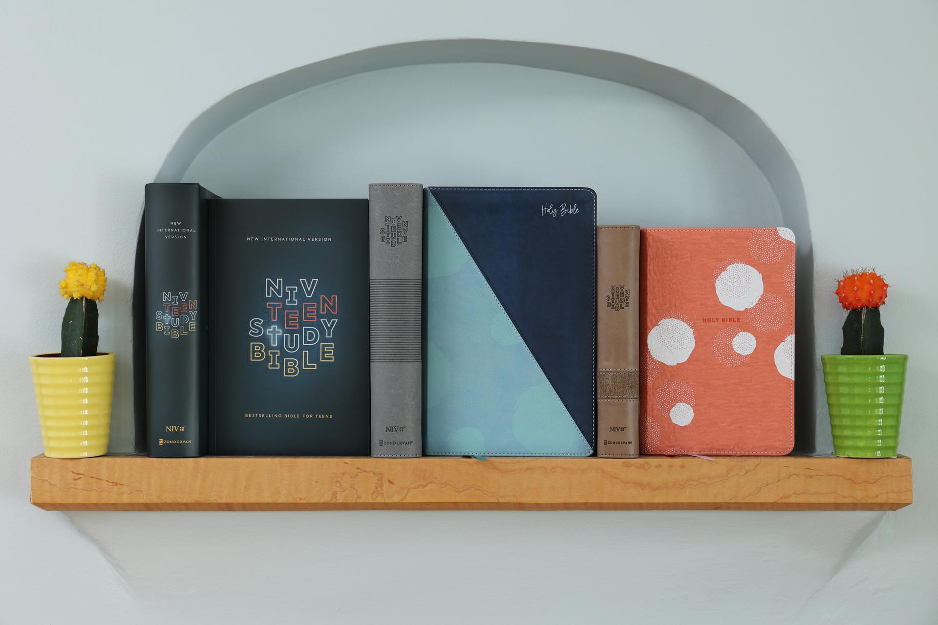 NIV Teen Study Bible