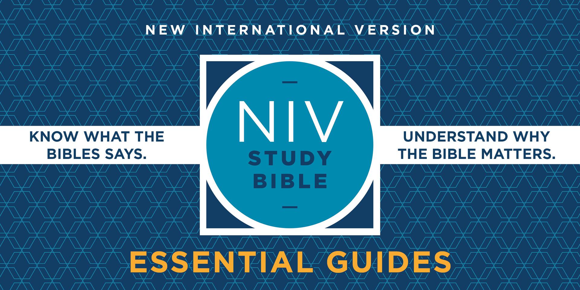 NIV Study Bible Essential Guides
