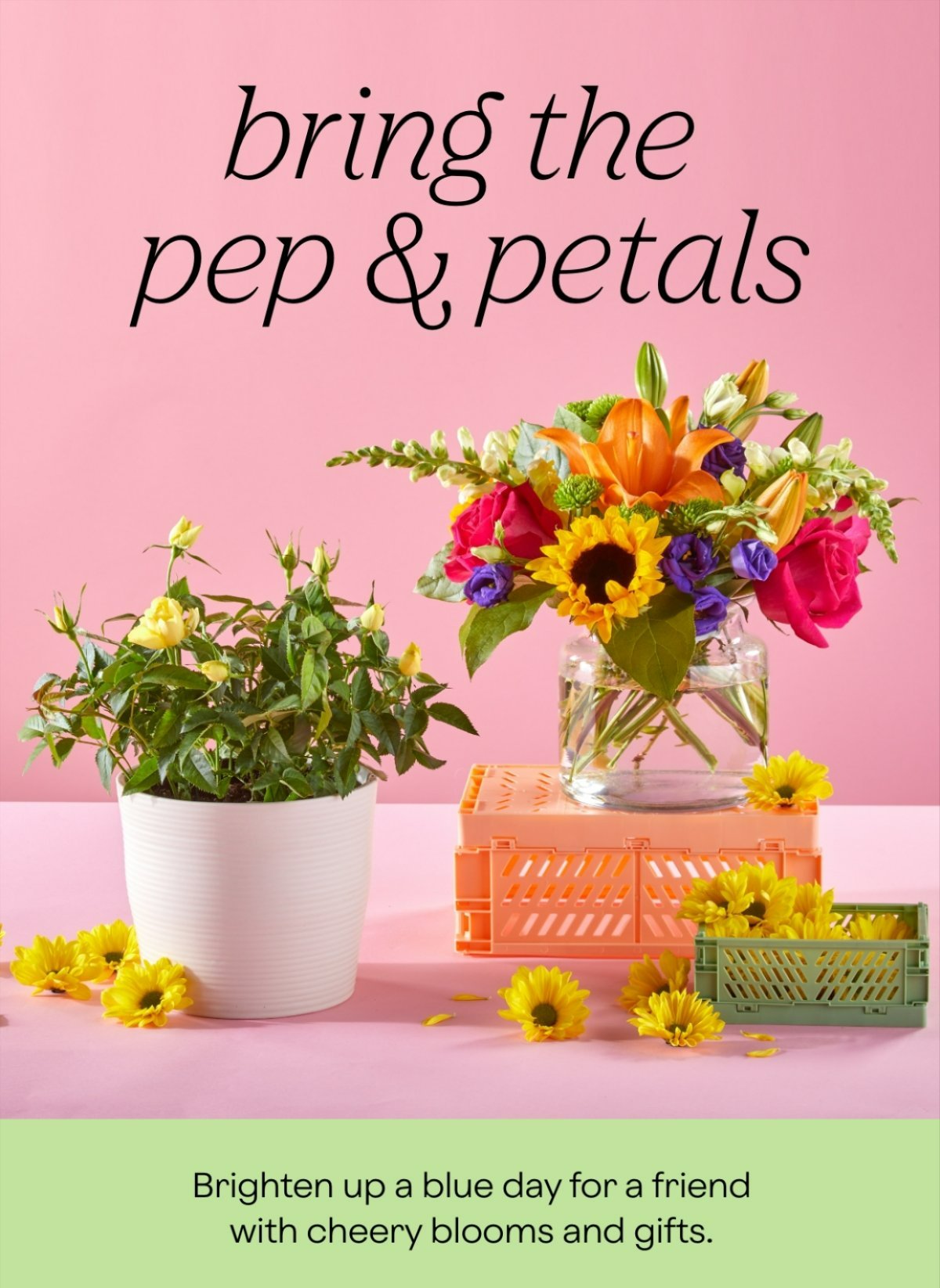 we’ve got spirit yes, we do! ProFlowers