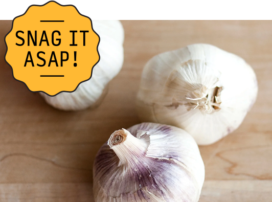 This Game-Changing Little Gadget Chops Garlic in Seconds