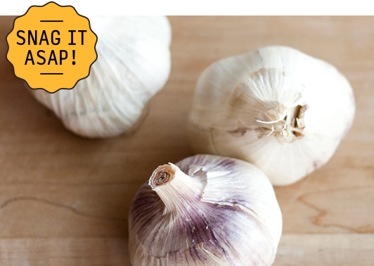 This Game-Changing Little Gadget Chops Garlic in Seconds