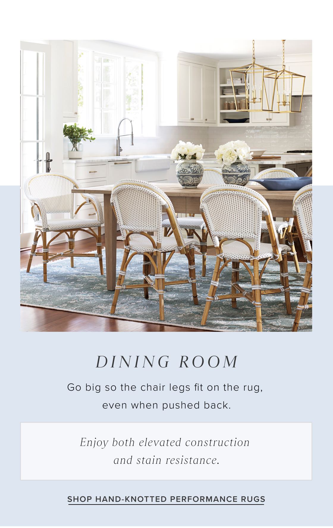 Shop Hand-Knotted Performance Rugs