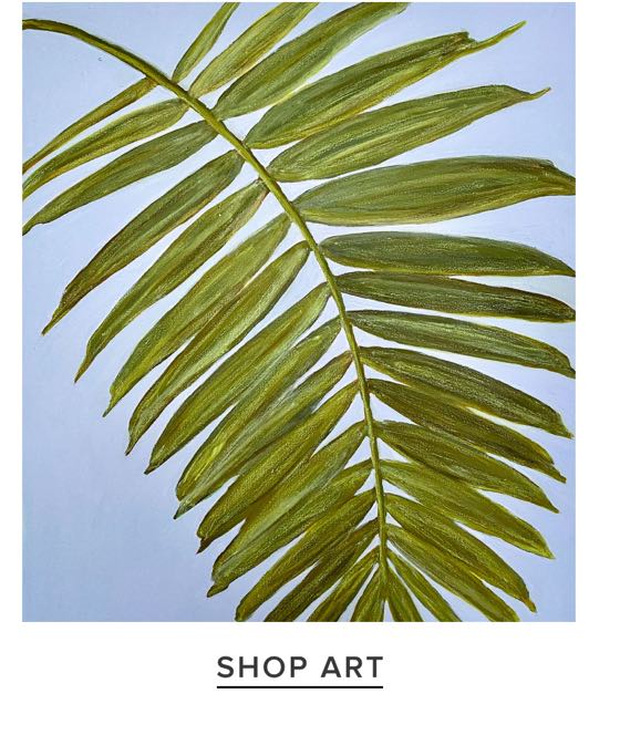 Shop Art