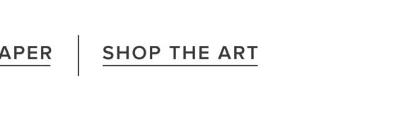 Shop The Art