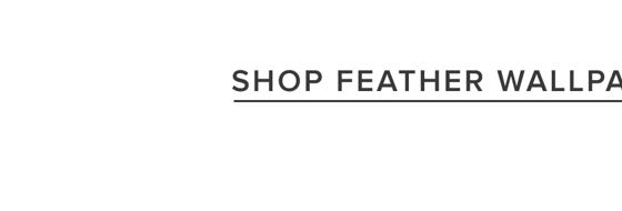 Shop Feather Wallpaper