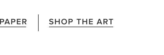 Shop The Art
