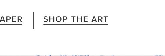 Shop The Art
