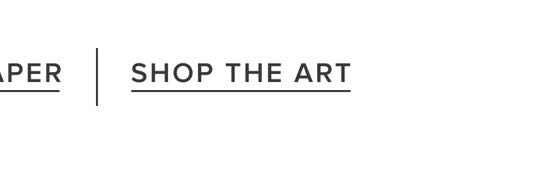 Shop The Art