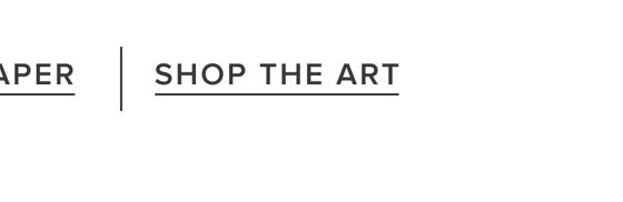 Shop The Art