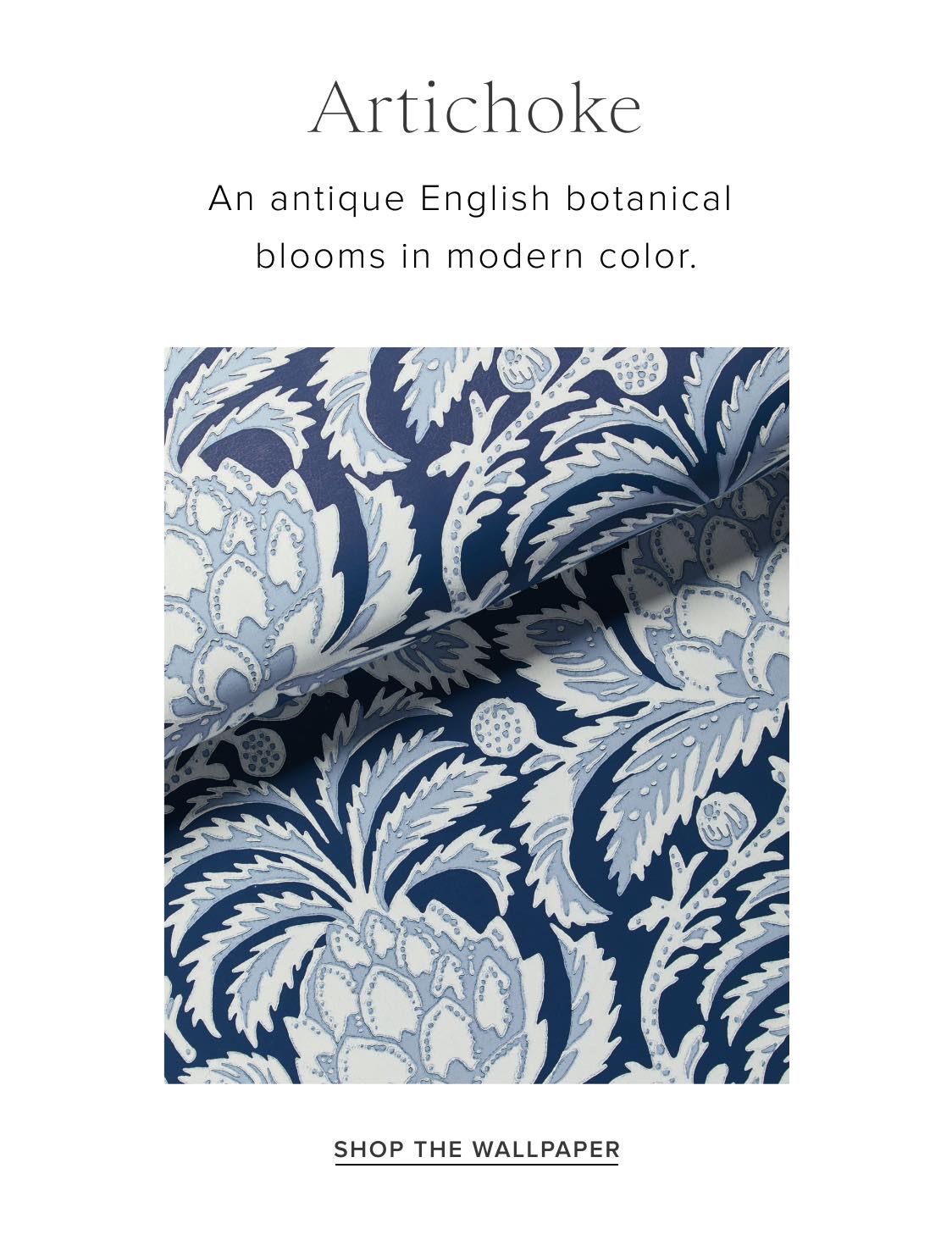 Shop Artichoke Shop Artichoke