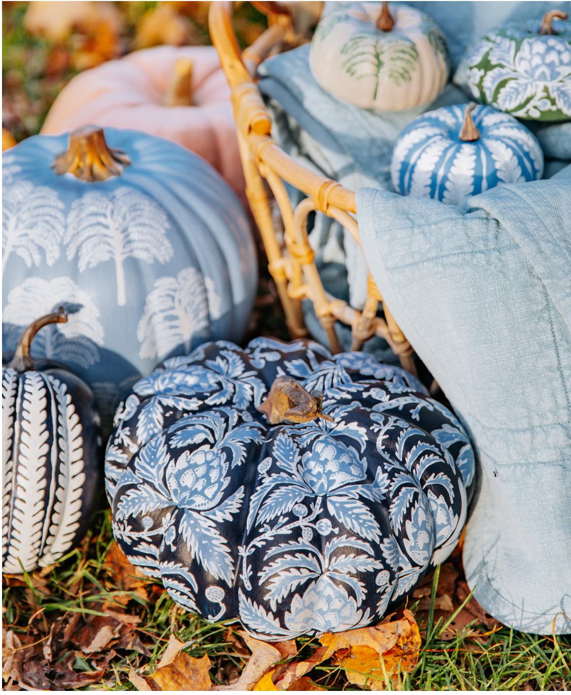 Shop Artichoke Shop Artichoke