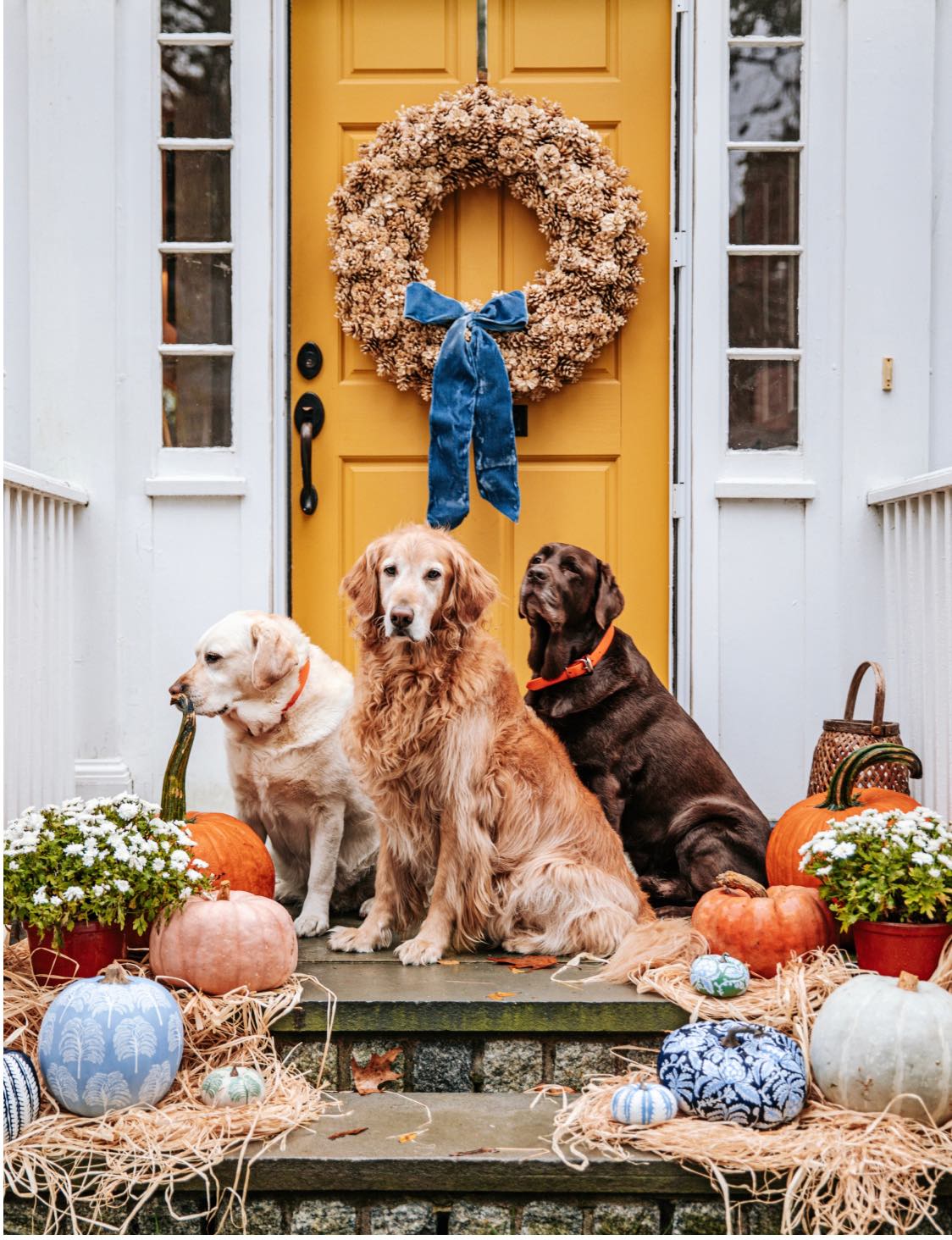 Shop Wallpaper Shop Wallpaper