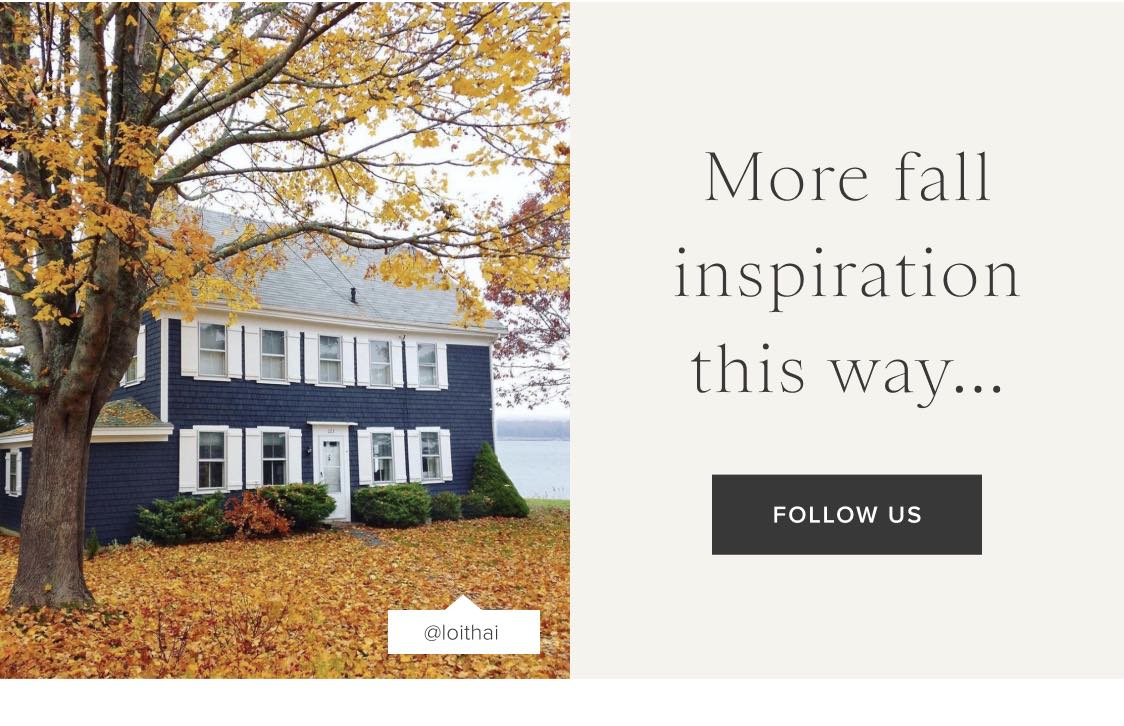 Follow Us on Instagram Follow Us on Instagram