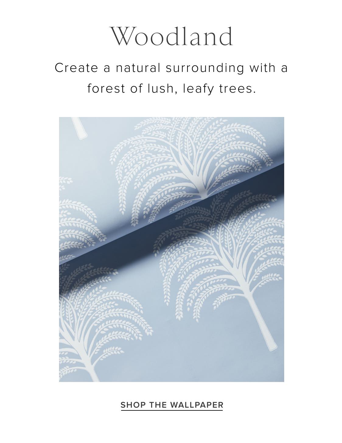 Shop Woodland Shop Woodland