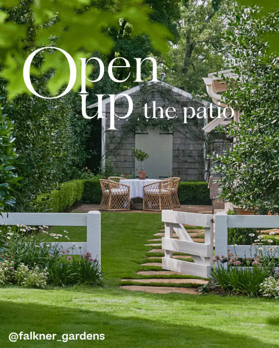 An oasis. Serena and Lily