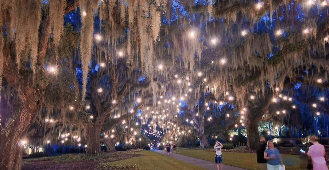 Outer Banks Christmas 2022 May 6, 2022 - Hundreds Of Twinkling Lights + Outer Banks Newcomer - Chstoday