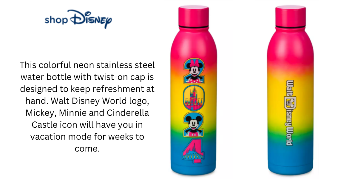 Walt Disney World 2024 Stainless Steel Water Bottle