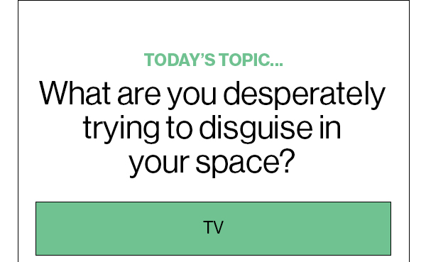 Today’s Topic… What are you desperately trying to disguise in your space?  TV