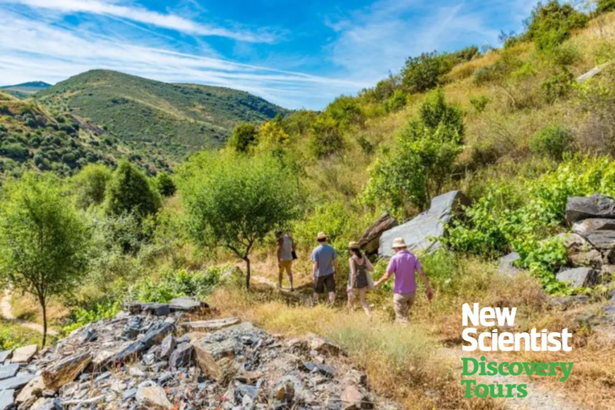 Rewilding in Portugal. Image links to tour.