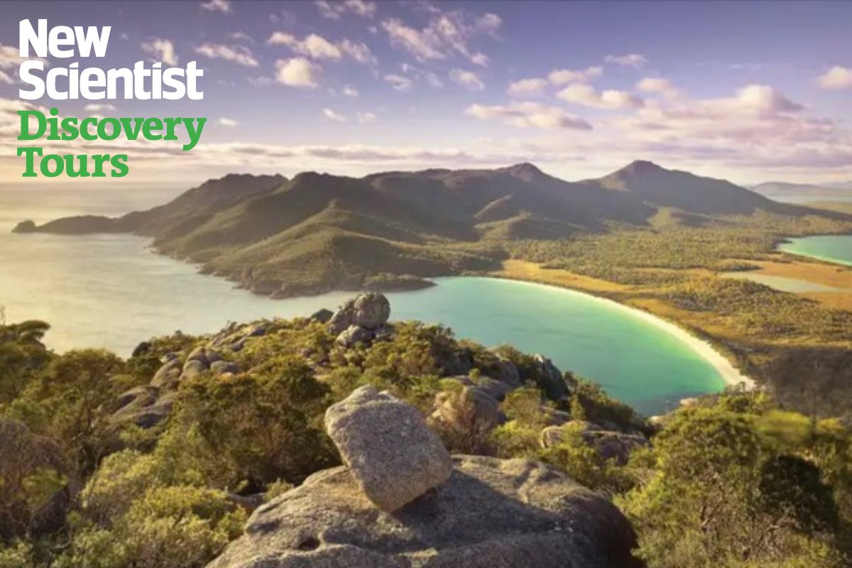Tasmania's flora, fauna and geology: Australia. Image links to tour.