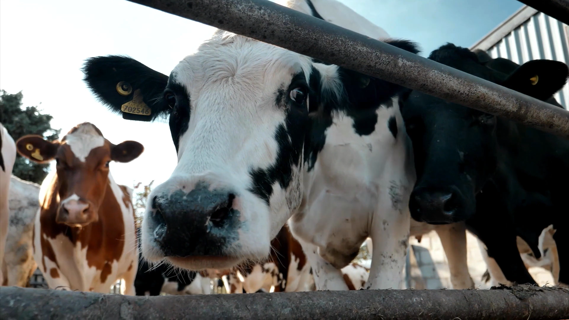 ITN Business: Farming a greener future. Image links to the article. 