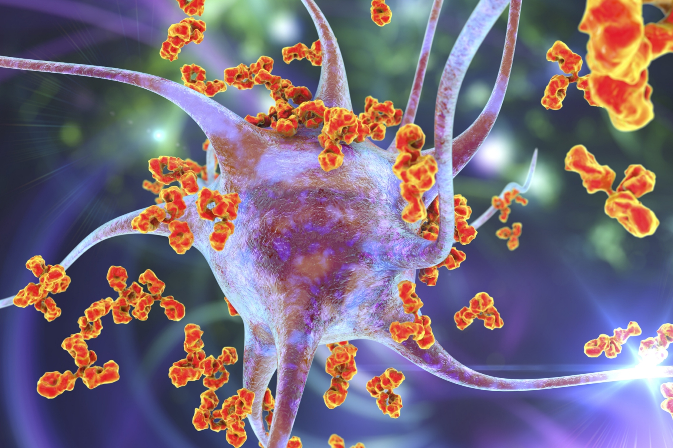 A nerve cell is surrounded by antibodies