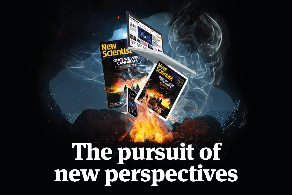 The pursuit of new perspectives. Image links to offer.