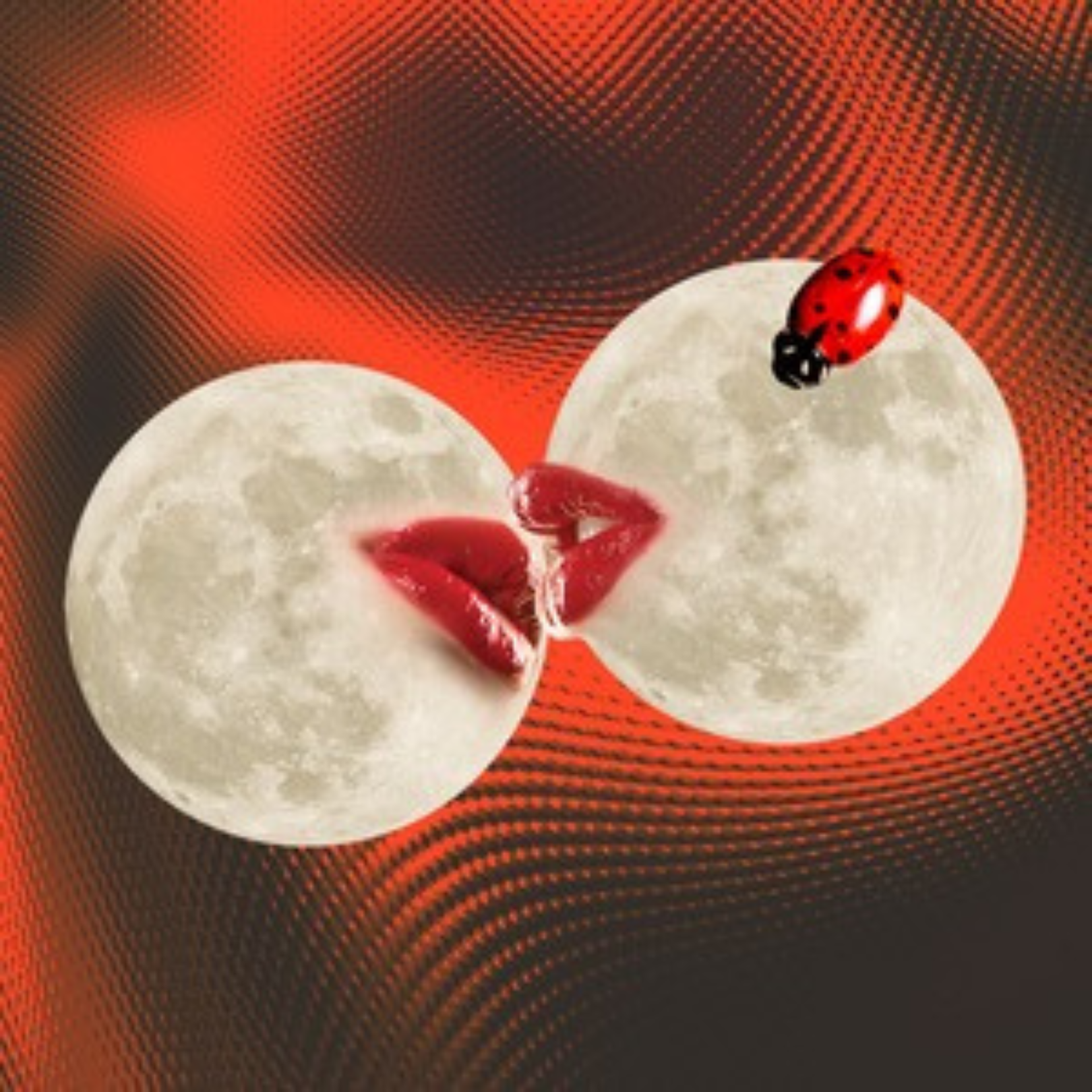 What's a Twin Flame and Have You Found Yours?