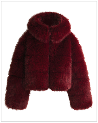 Perfect Moment H&M Hooded Down Puffer Jacket