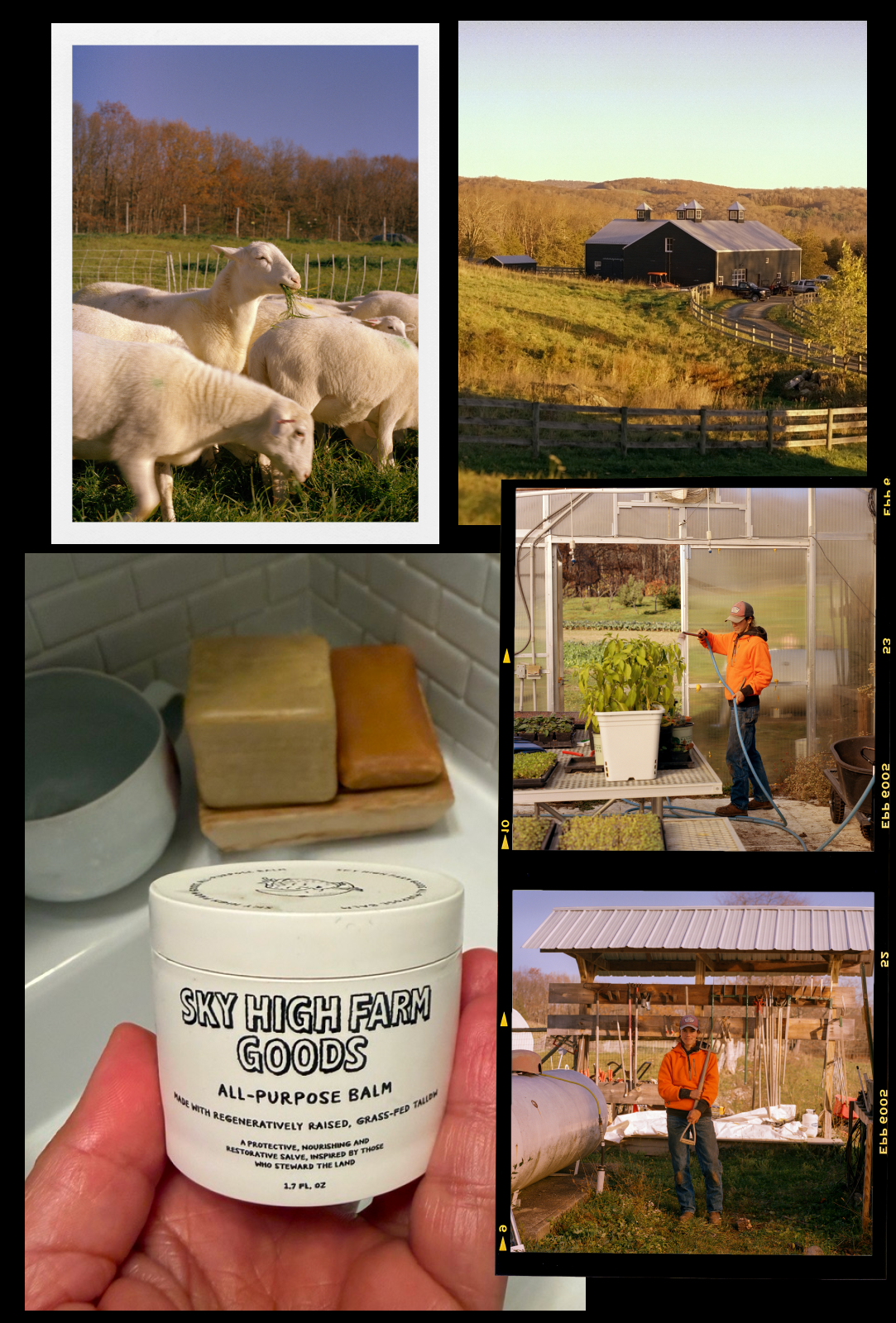 Sky High Farm Goods