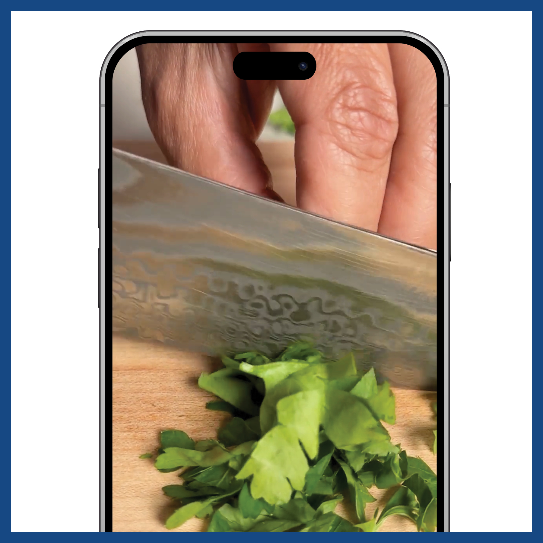 Delish App - Technique Support