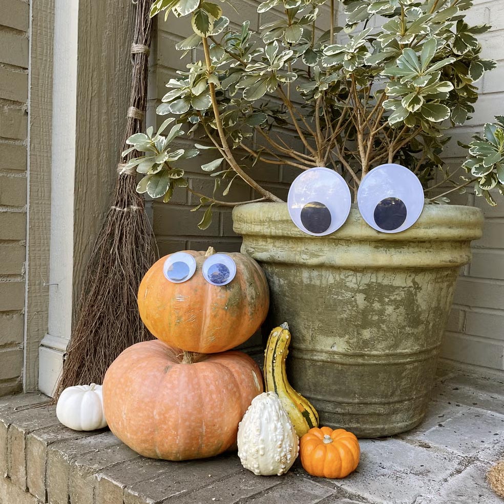 large googly eyes on pumpkins and large front porch planter