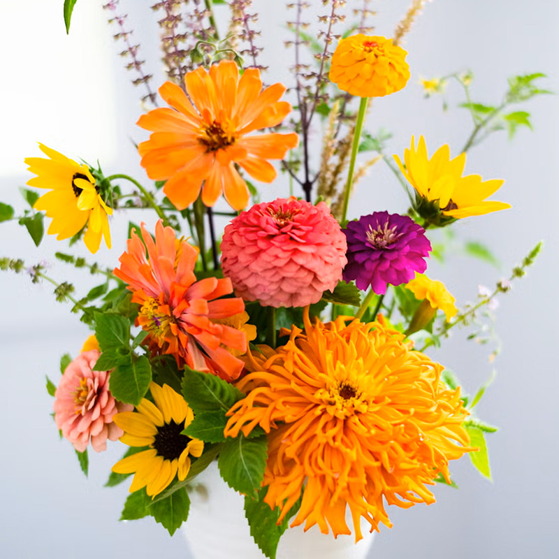 vase of zinnias, sunflowers, basil flowers and foliage