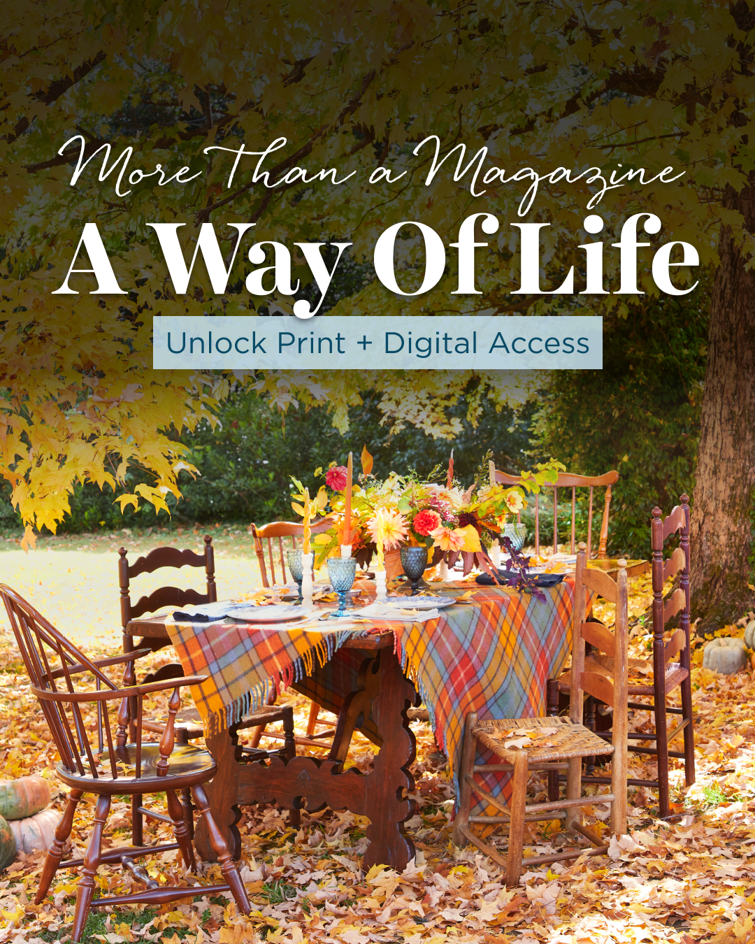 Image of Country Living magazine and phone screen showing article on food and drinks