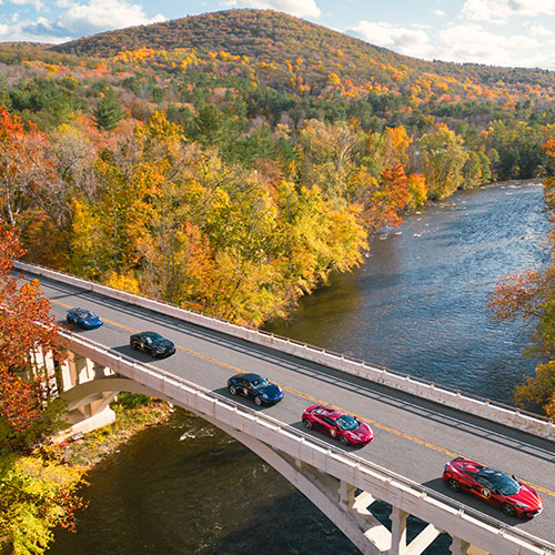 cars driving on road surrounded by fall foliage