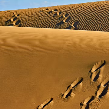 Scientists Found 7,000-Year-Old Mummies That Don't Share DNA With Modern Humans