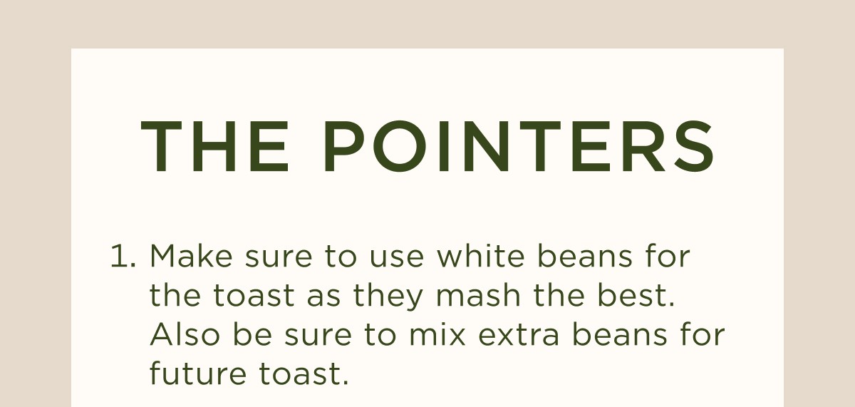 THE POINTERS