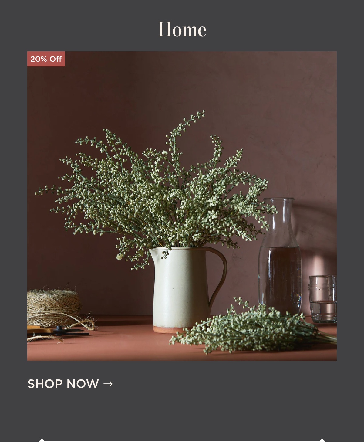Shop Home