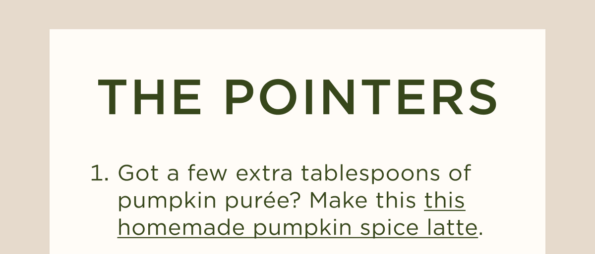 THE POINTERS