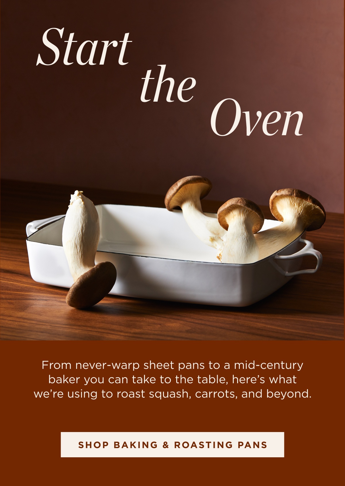Shop Baking & Roasting Pans