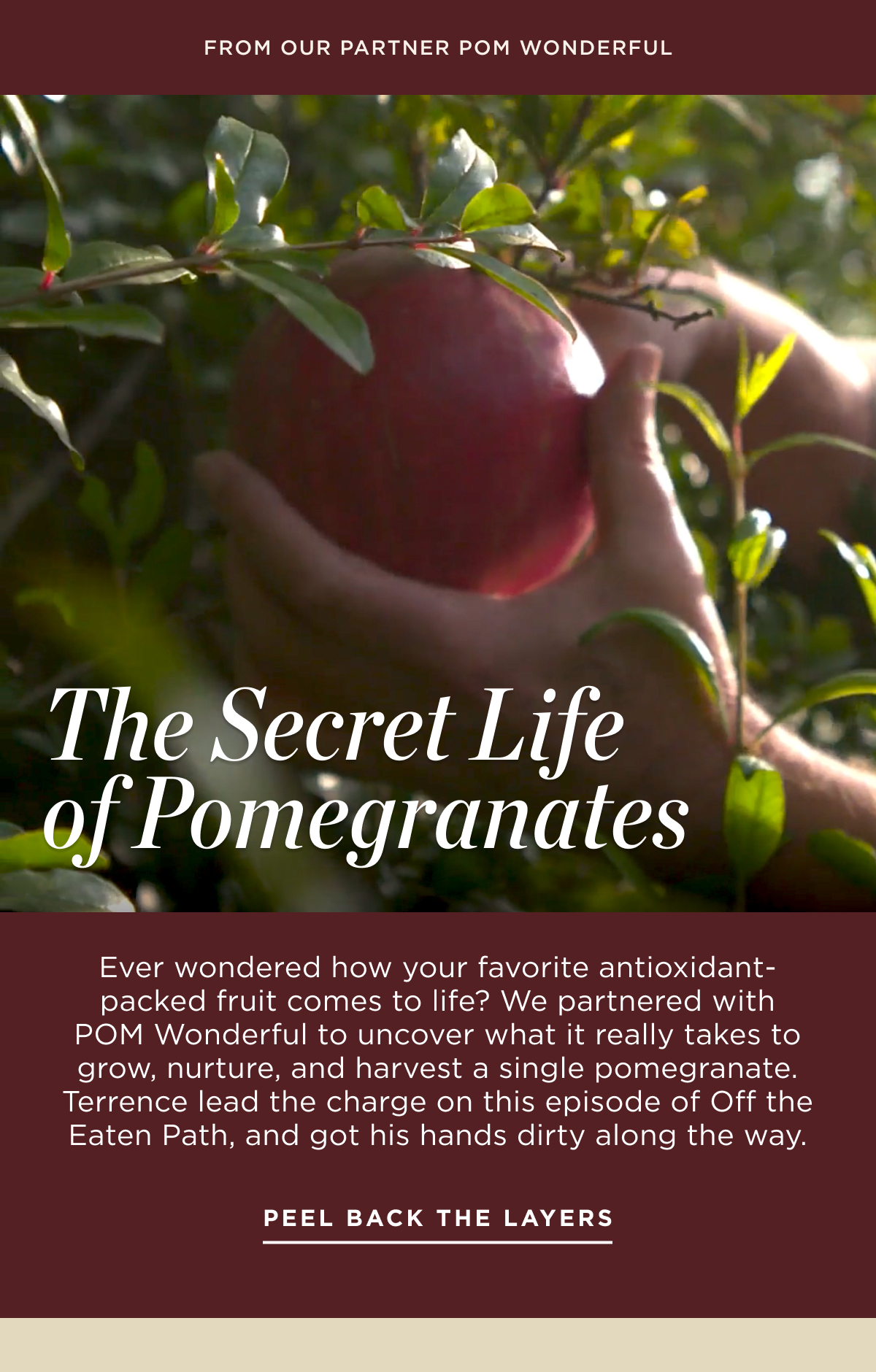 Peel Back The Layers