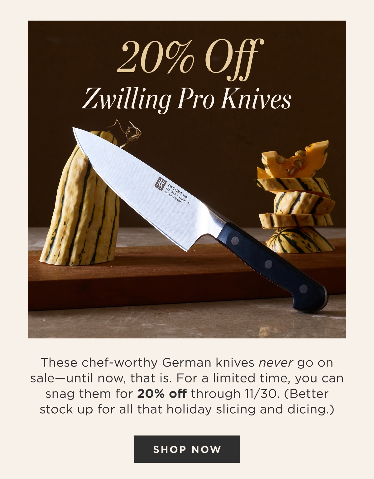20% Off Zwilling