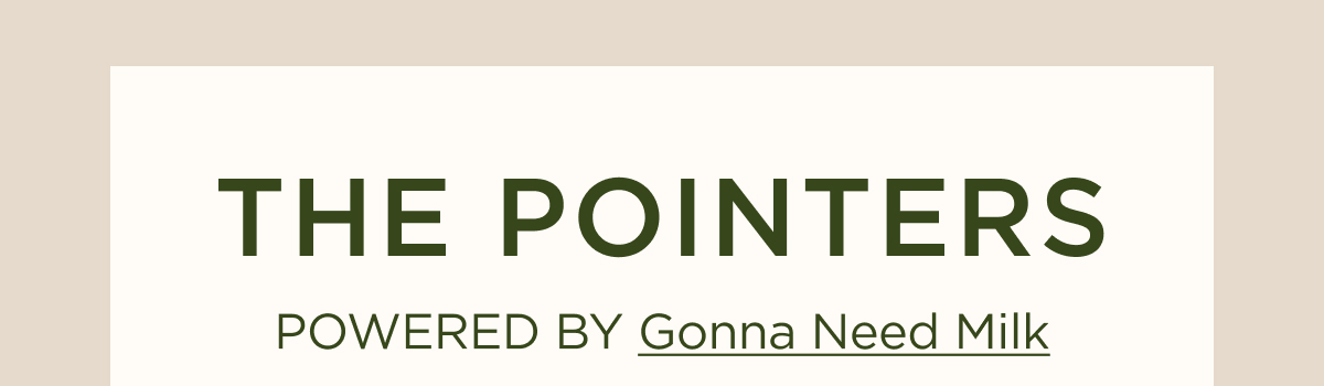THE POINTERS