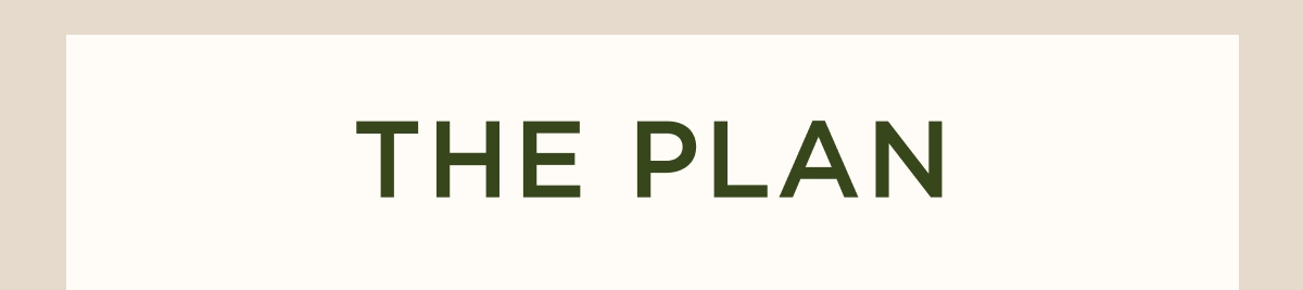 The Plan